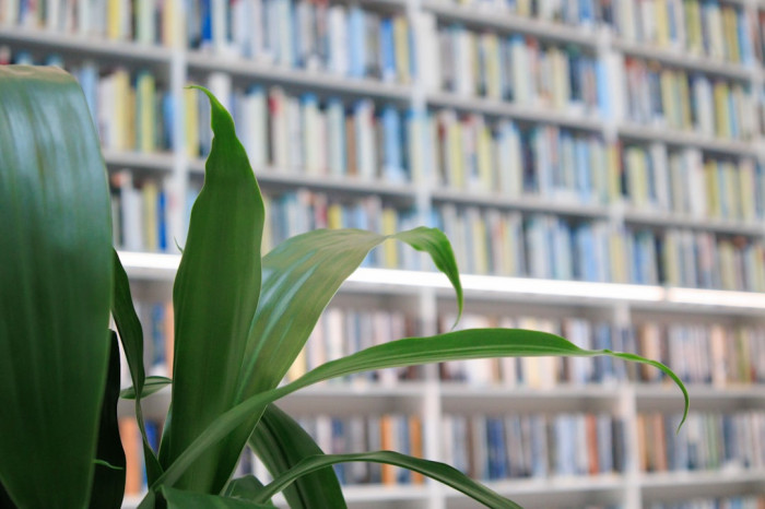 6 Yaş İngilizce Kursu Anadolu Yakası