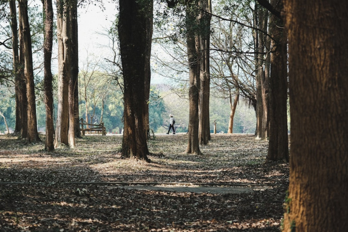 Beylikdüzündeki En İyi İngilizce Kursu